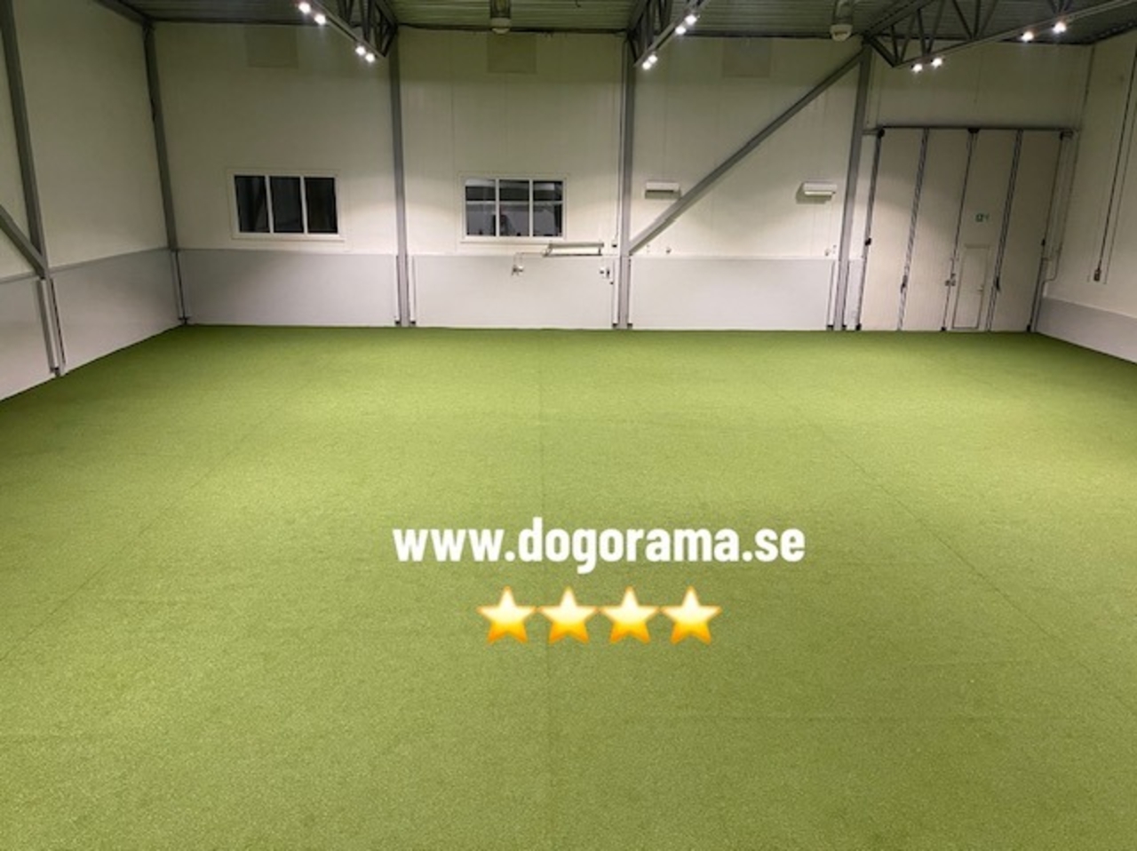 Dogorama Hundsporthall 