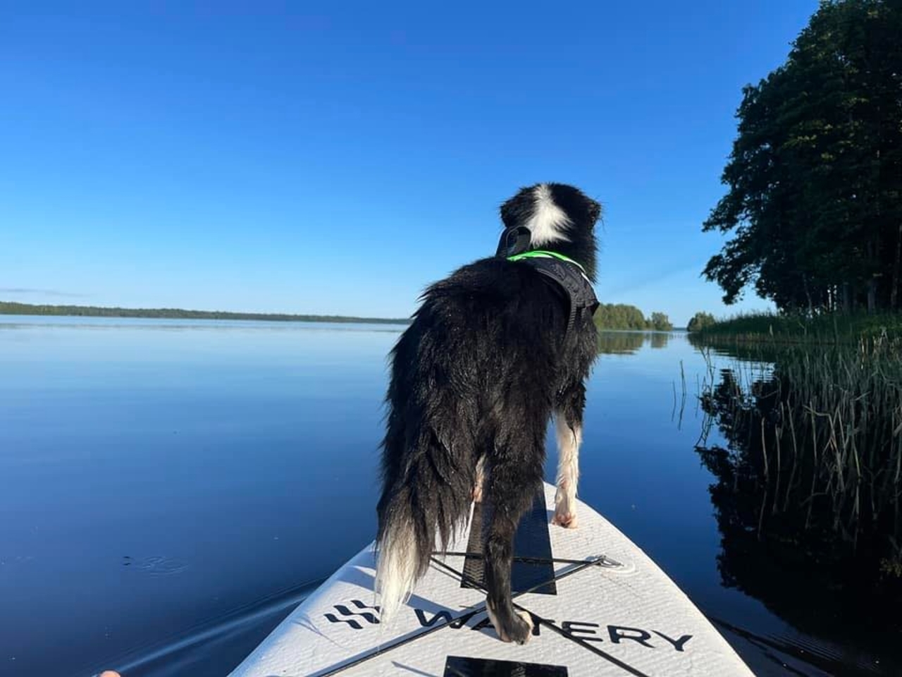 Work for fun lärande AB