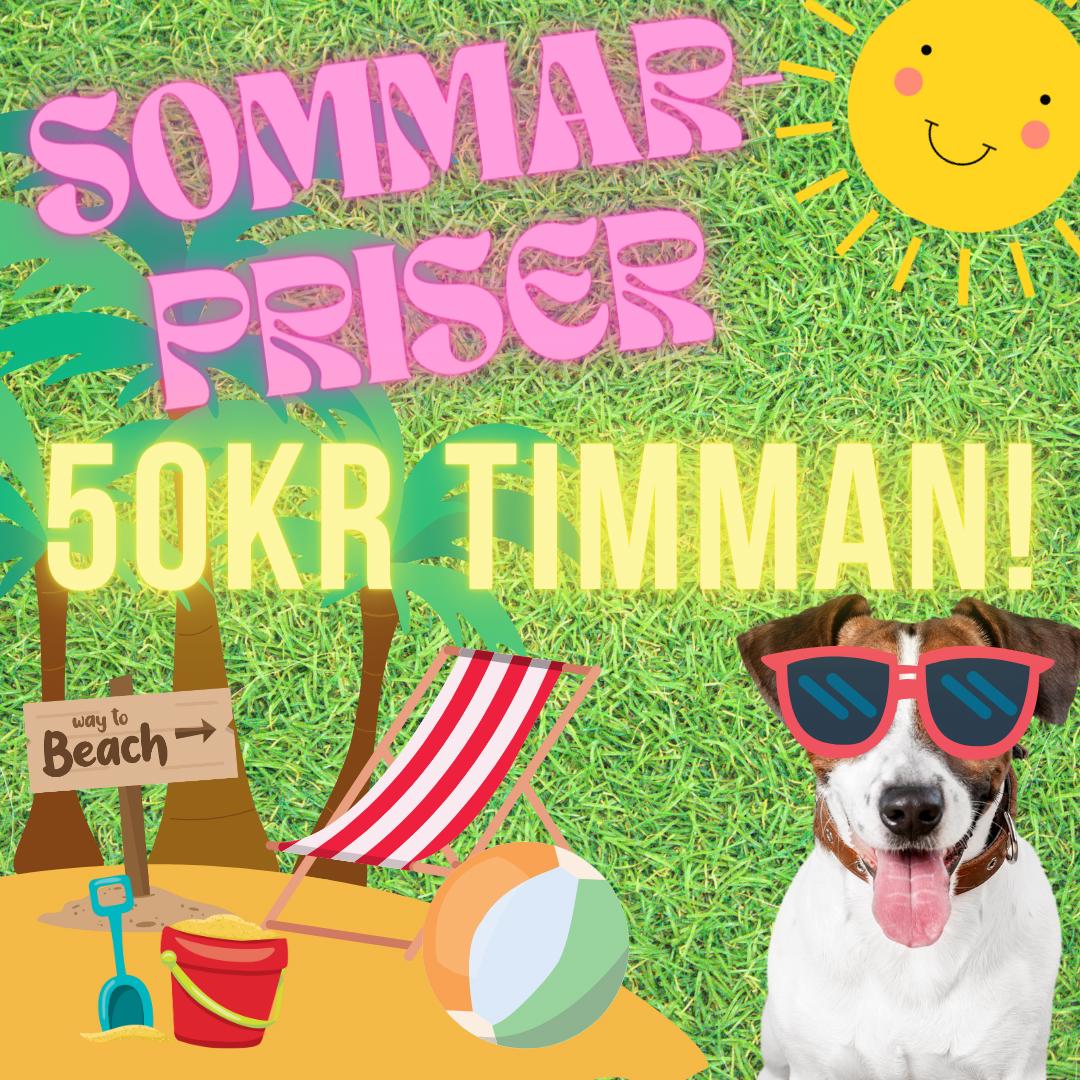 Sommarpriser!