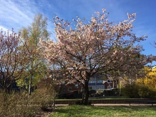 HSB BRF Sörgården i Göteborg