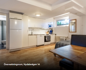 BRF skidstaven1