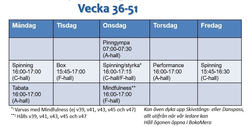 Pass i Ringhallen hösten 2024