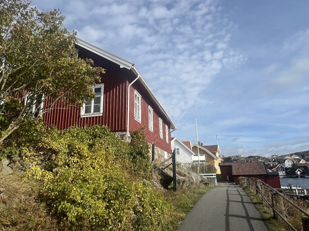 Renovering av skolan under våren 2026