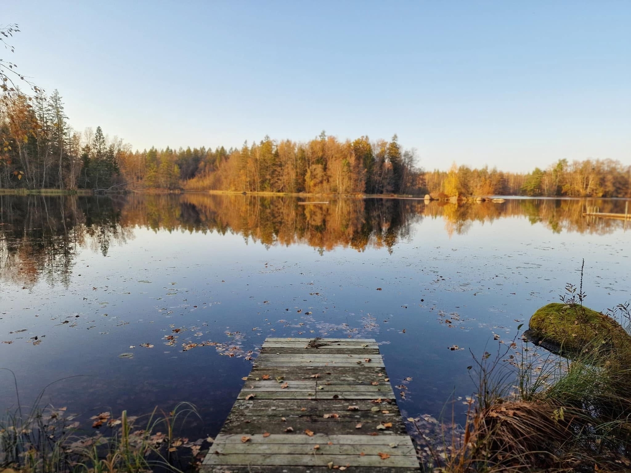 Cykelutflykt och svampjakt