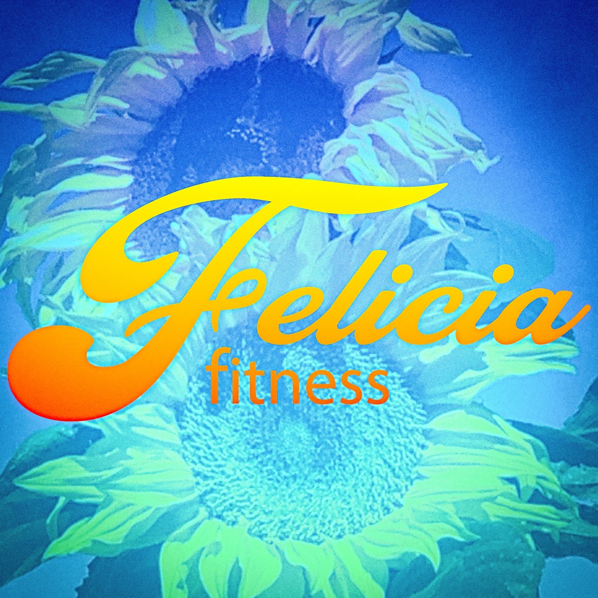 Felicia Fitness