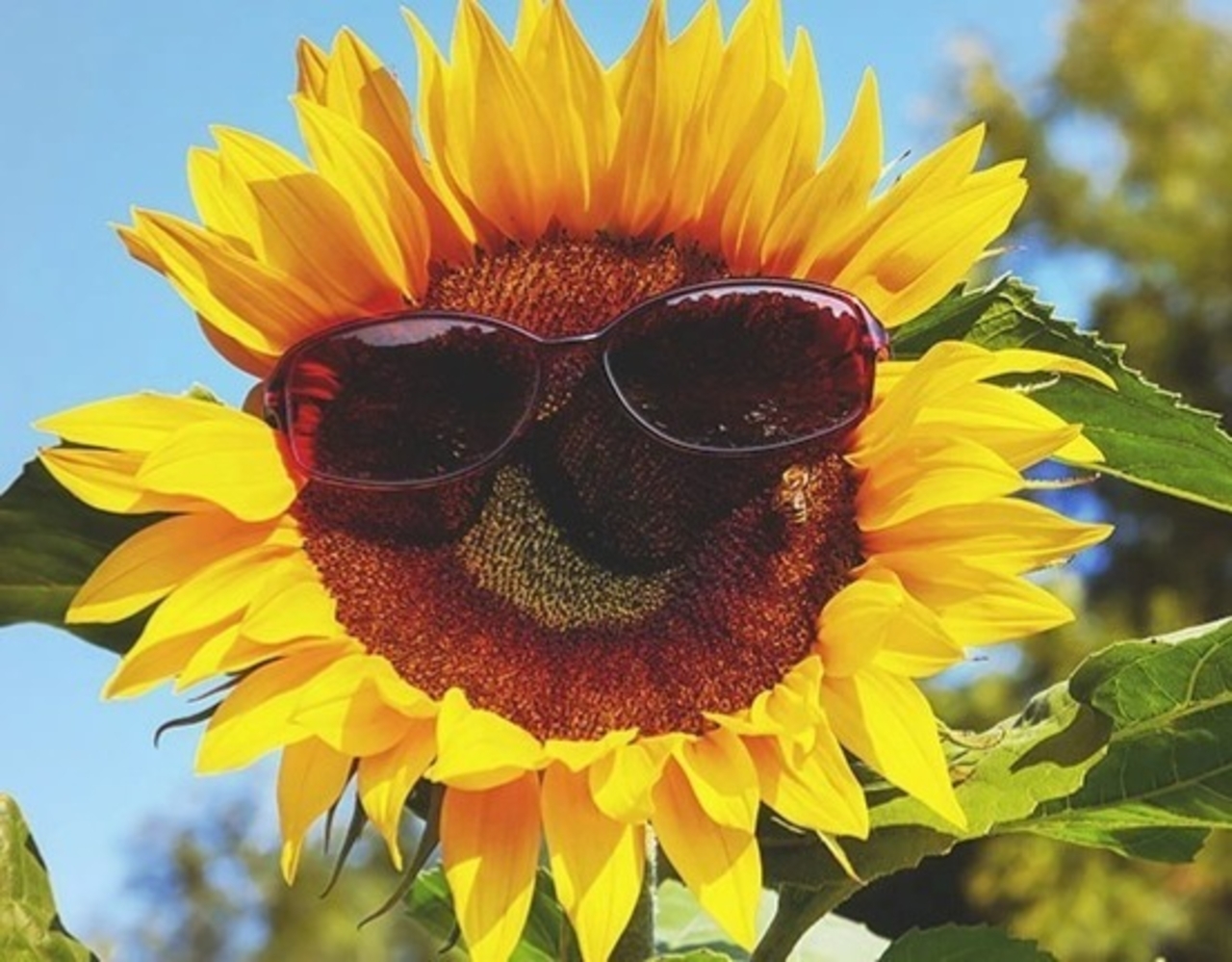 Viktigt! Sommarlovstider på Kultopia