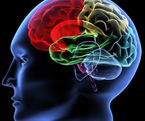 Gustavsbergshälsan AB