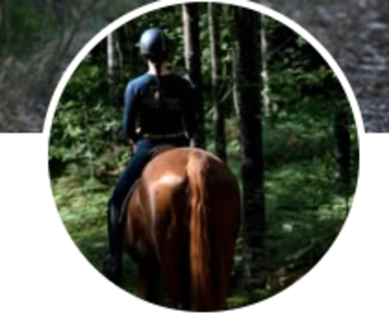 Träningar Linköping Norrköping med omnejd!