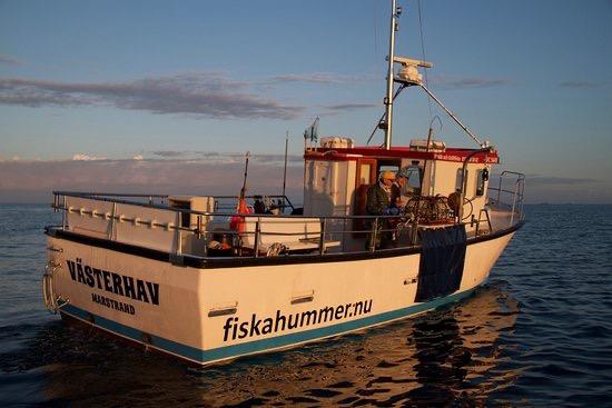 Fiskahummer