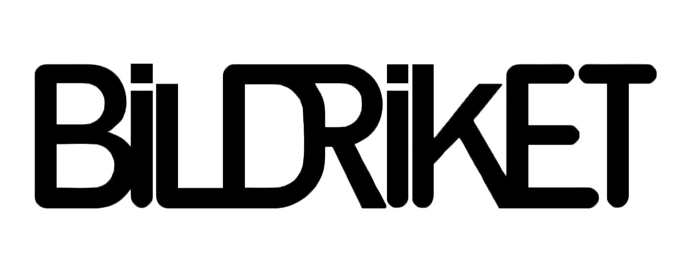 Bildriket