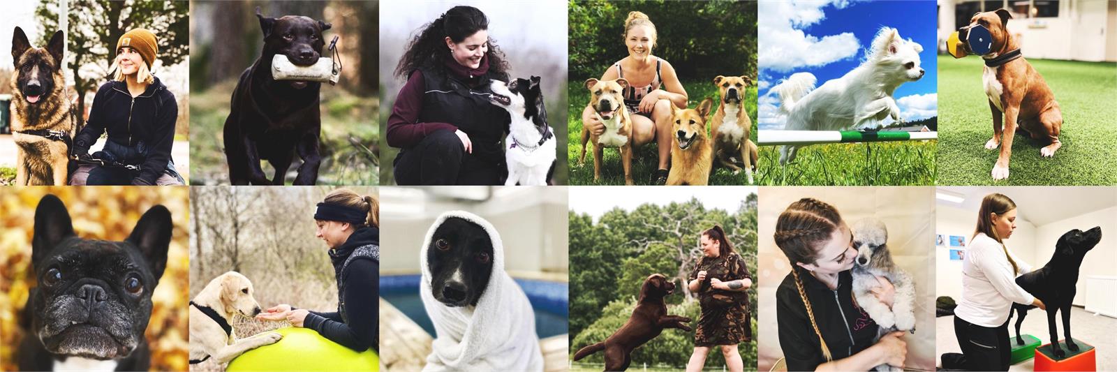 Svenska HundsportsAkademin AB