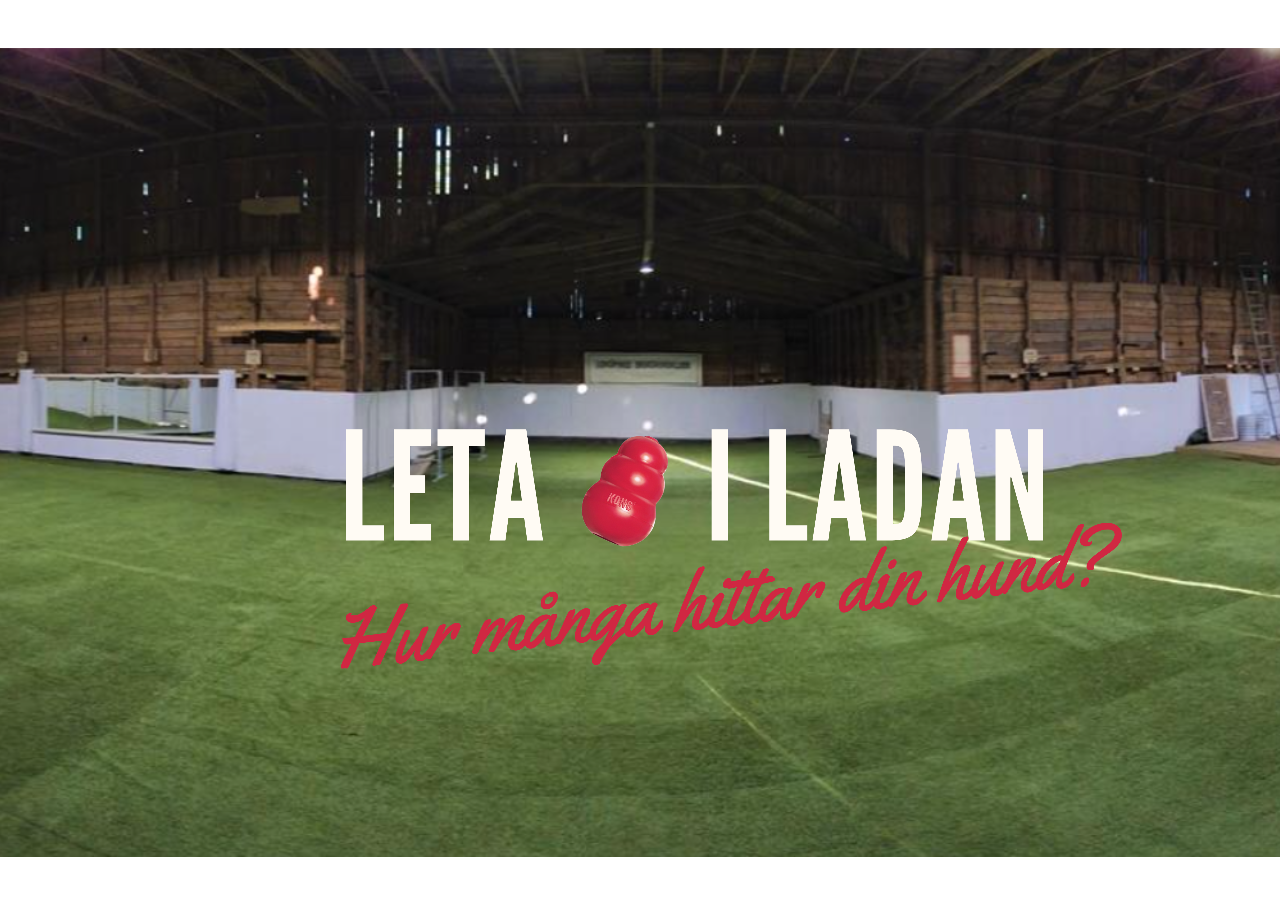 Leta kong i inomhusladan 21-22/3